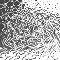 reaction-diffusion warped map